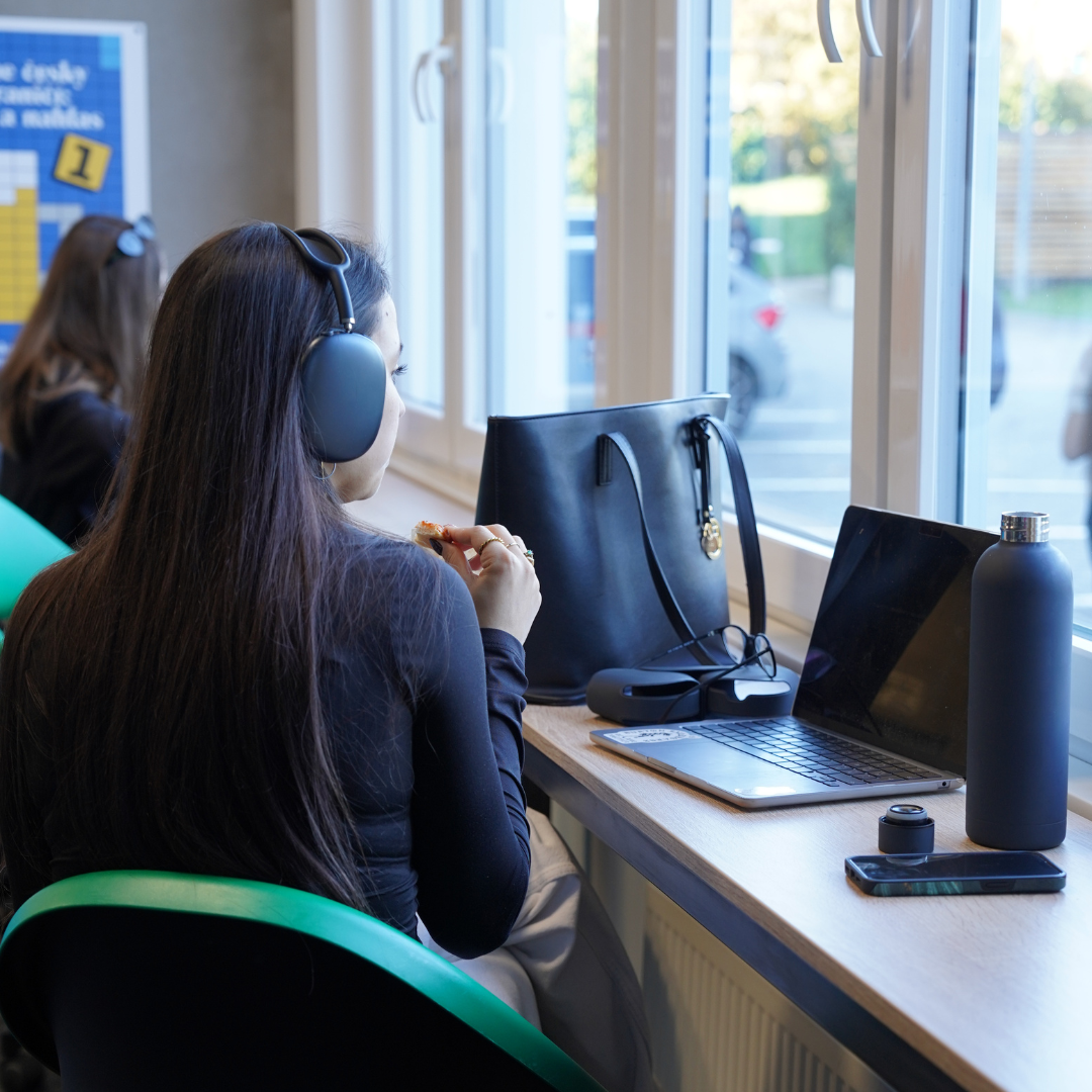 Individuální zkouškový plán